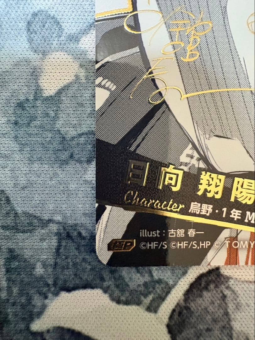 ハイキュー!! バボカ‼︎日向翔陽 シリアルナンバー入りサインカード極P【101】