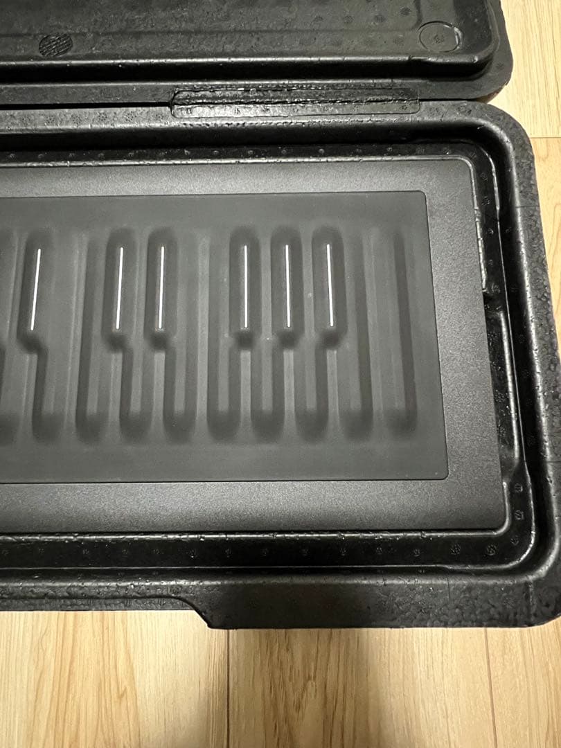 DTM・DAW ROLI Seaboard RISE 25