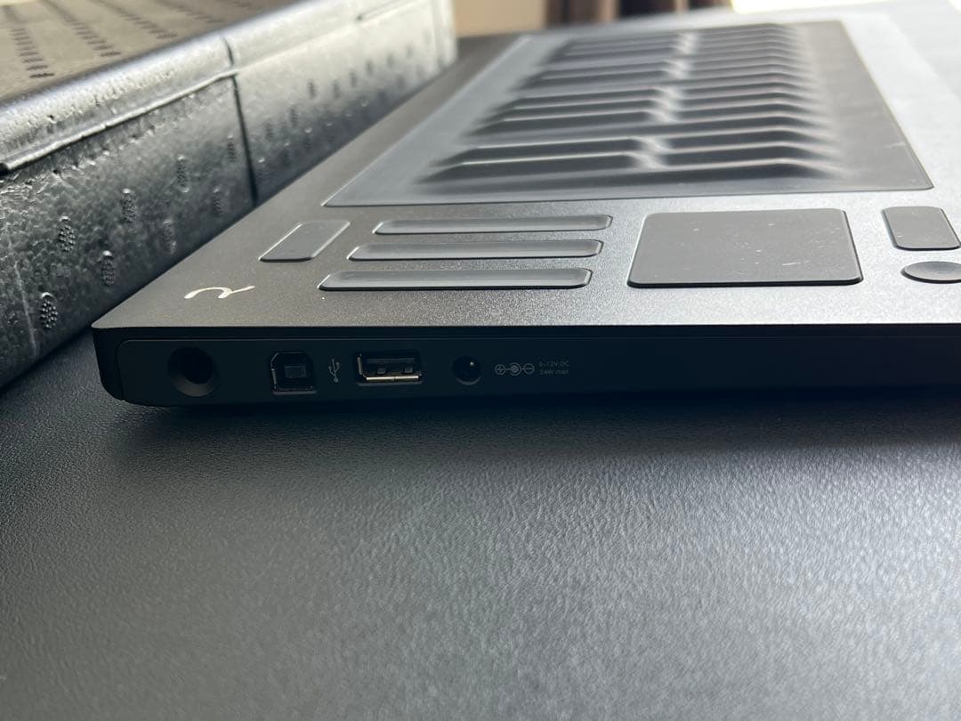 DTM・DAW ROLI Seaboard RISE 25