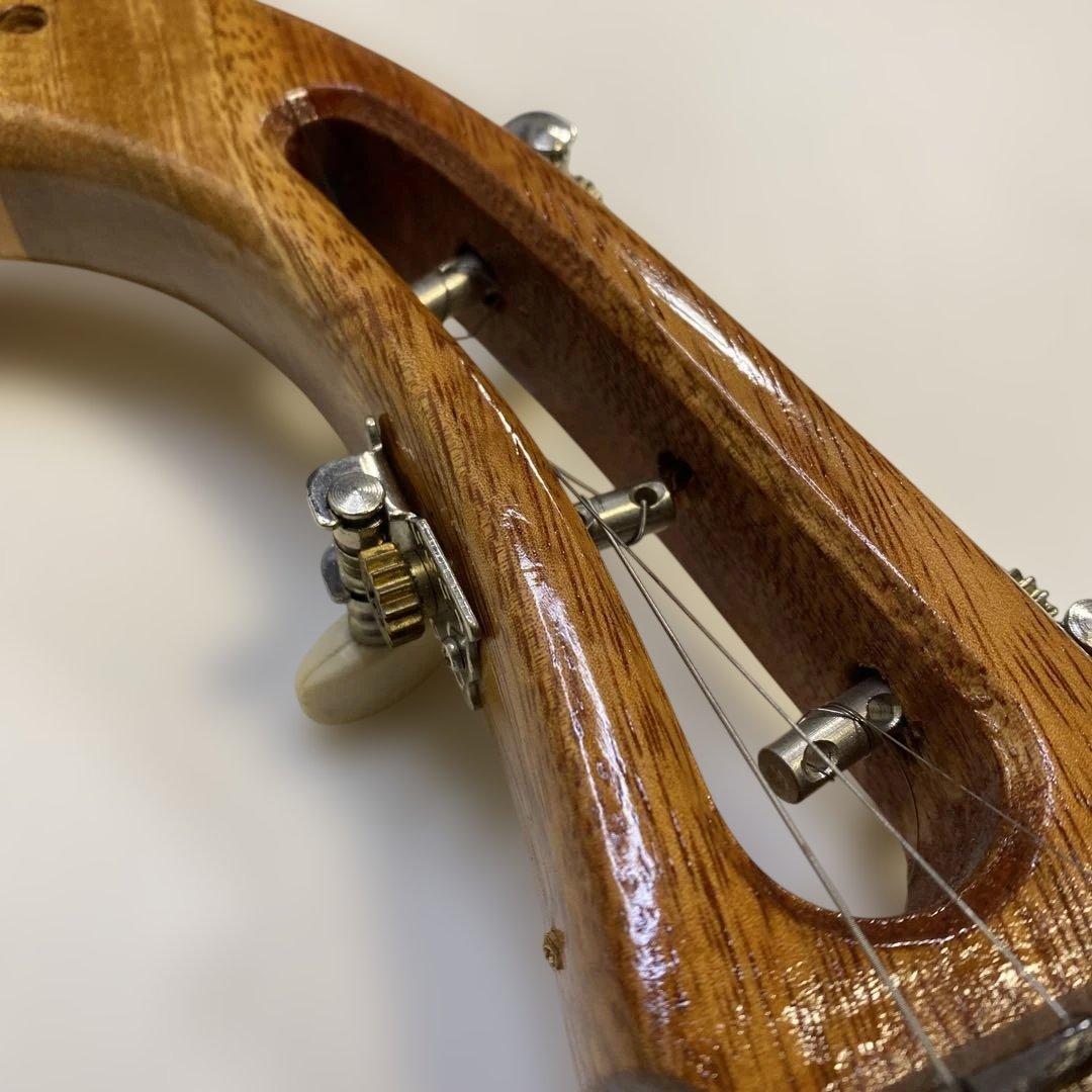 タイ 伝統楽器 エレクトリックピン 三弦 バンコク 民俗楽器 ピン ほぼ未使用