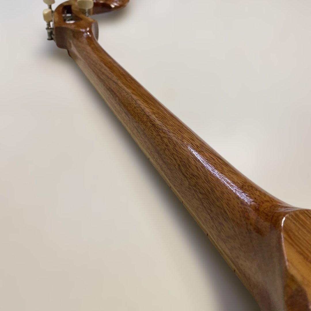 タイ 伝統楽器 エレクトリックピン 三弦 バンコク 民俗楽器 ピン ほぼ未使用