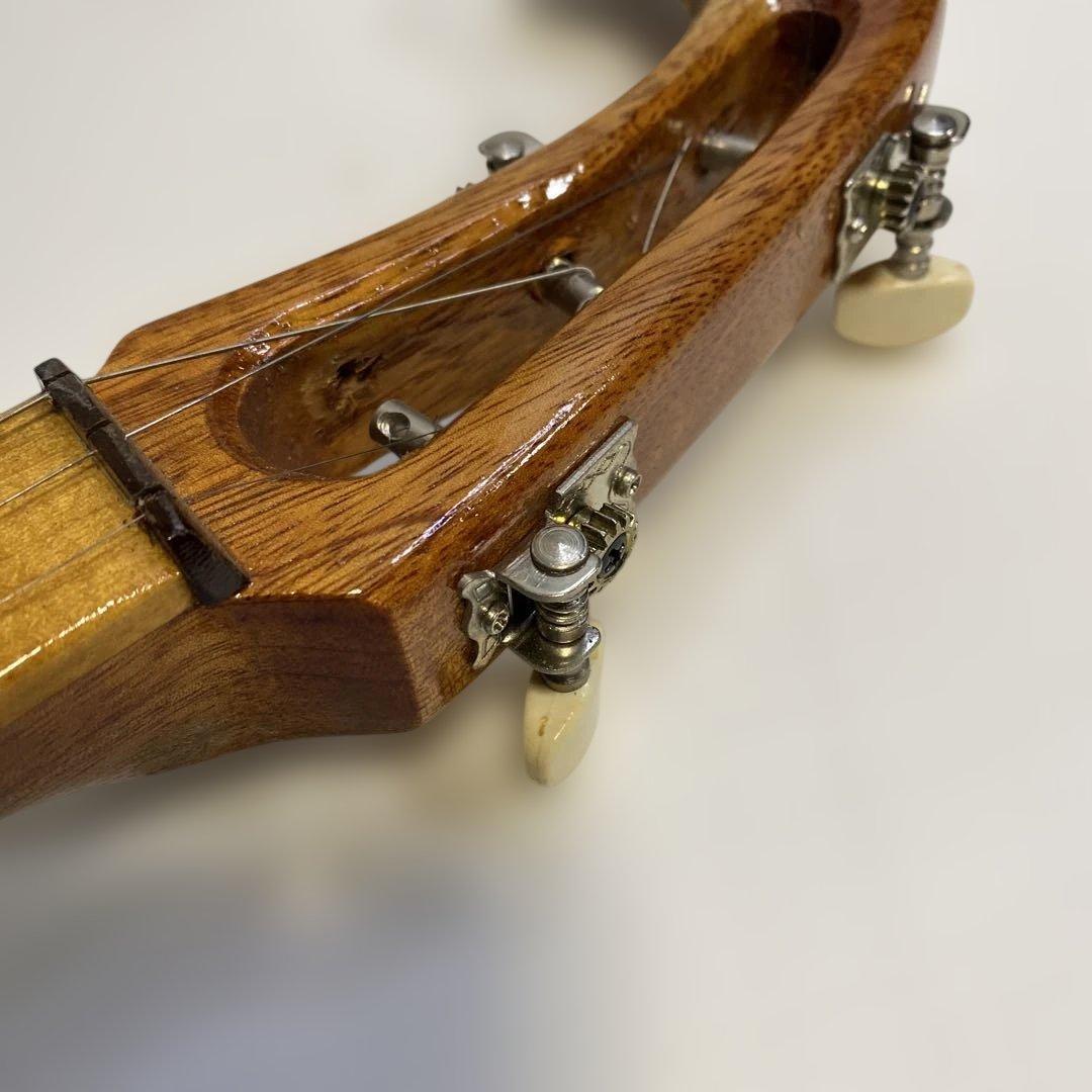 タイ 伝統楽器 エレクトリックピン 三弦 バンコク 民俗楽器 ピン ほぼ未使用