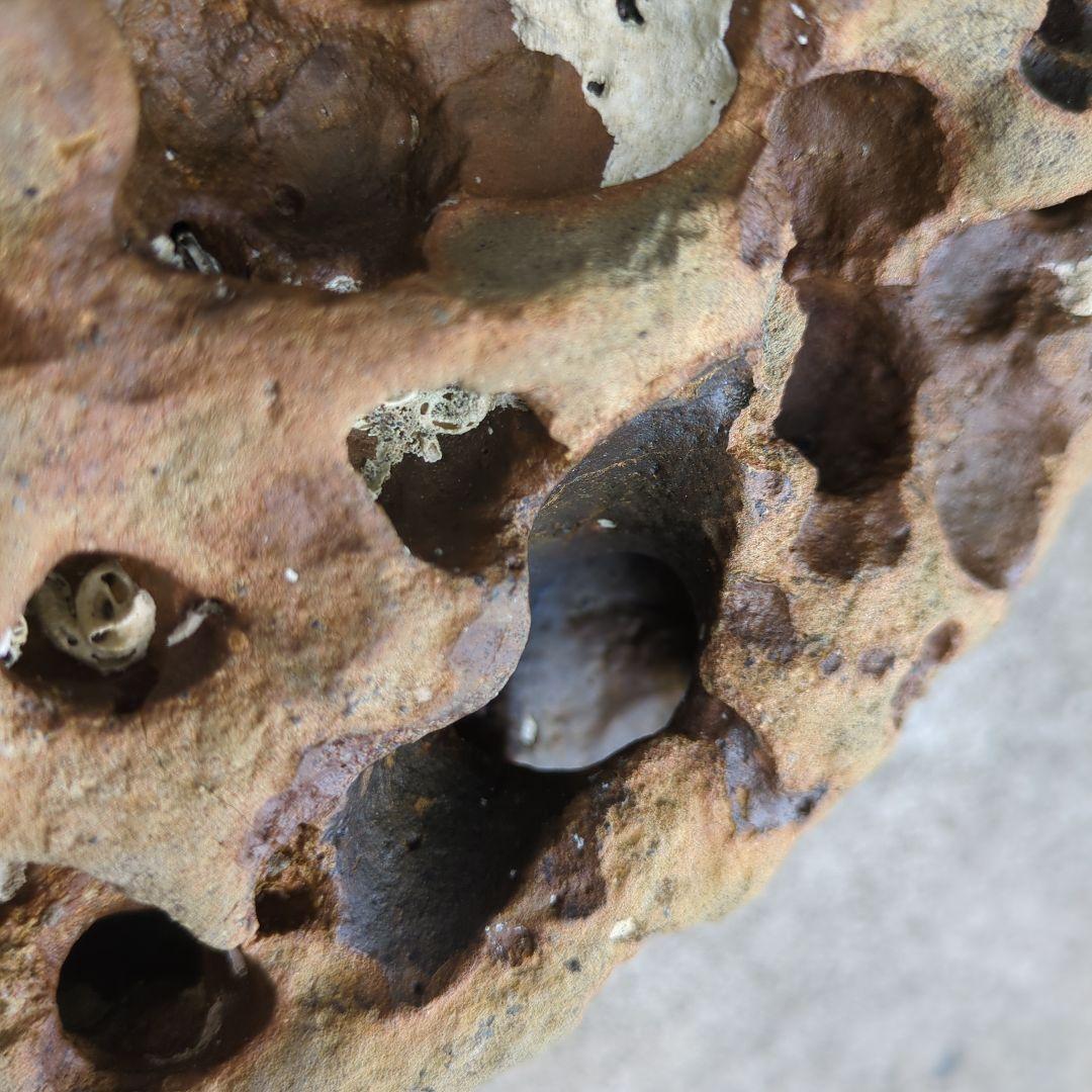 送料無料　アクアリウム　水槽用石セット　メダカ熱帯魚