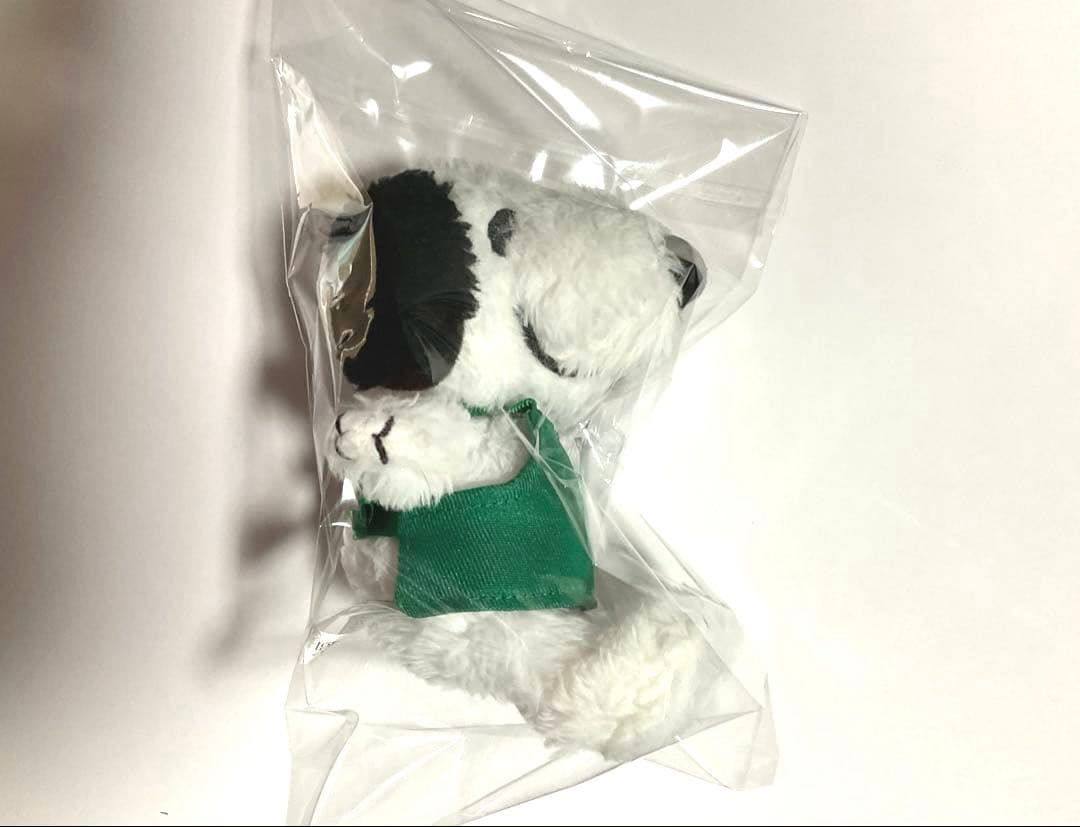 【未使用】スターバックス スヌーピー グリーンエプロンSNOOPY Mini