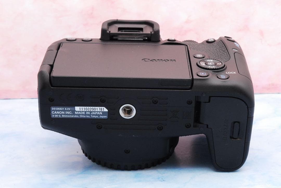 テングA☆スマホ転送☆美品☆STMレンズ☆一眼レフカメラ