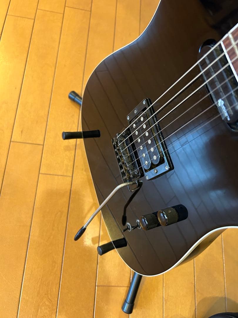 フェルナンデス TEJ サスティナー搭載