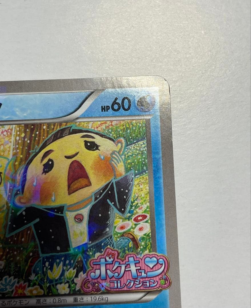 XY-P コダック　ポケキュンコレクション キャンペーン　プロモ