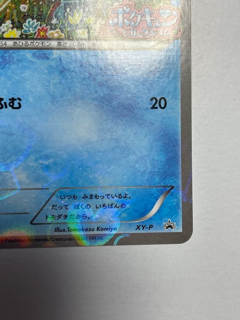 XY-P コダック　ポケキュンコレクション キャンペーン　プロモ