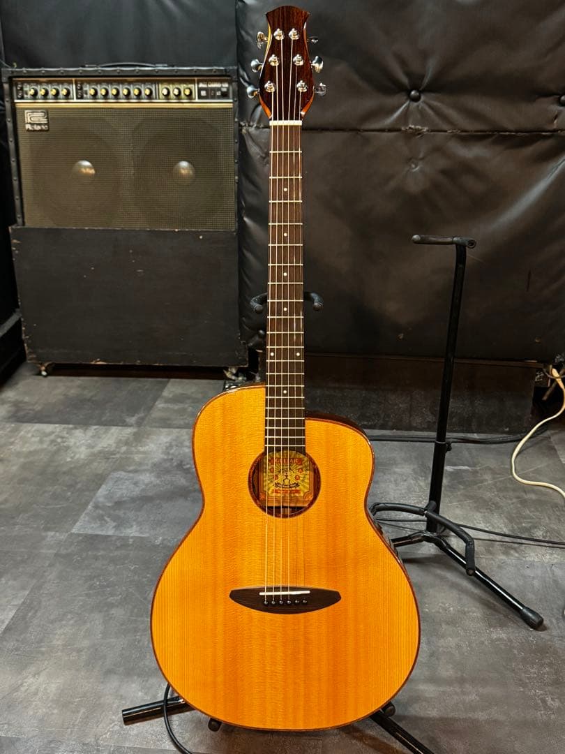 aNueNue LF23E (エレアコモデル) 美品