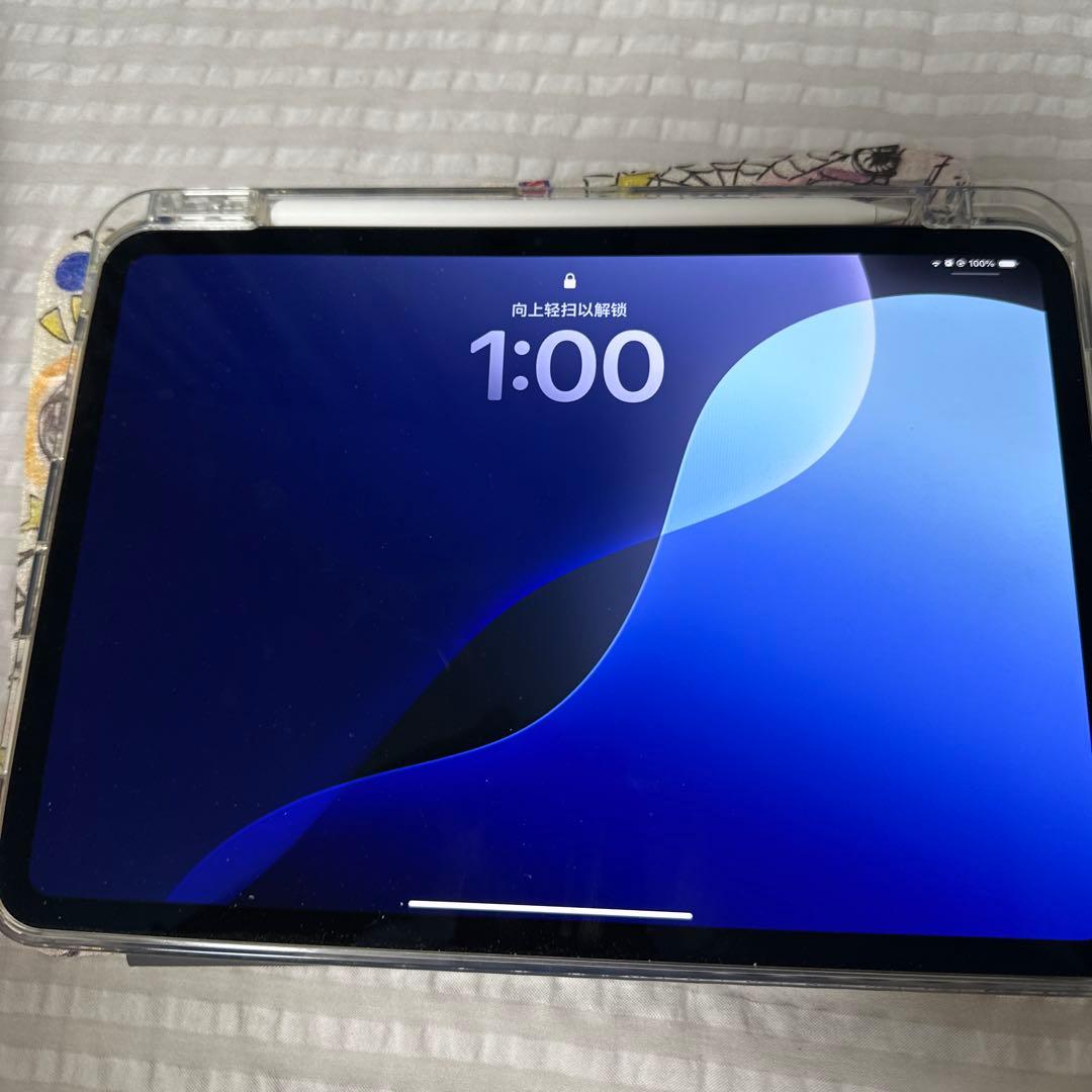 iPad Pro11インチM4&Apple Pencil Pro付き