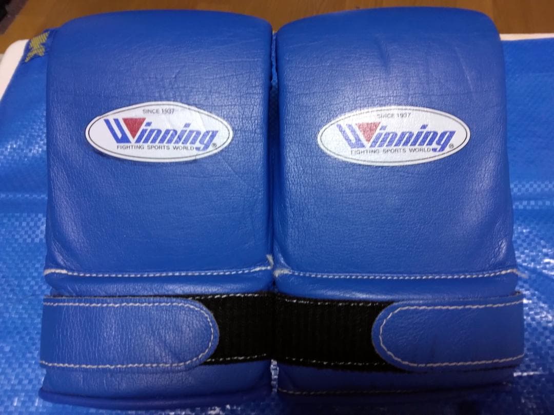 Winning 青 パンチンググローブ