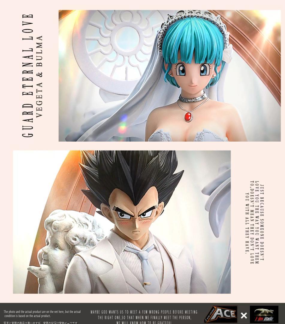 ドラゴンボール ベジータ ブルマ フィギュア ガレージキット 1/6スケール