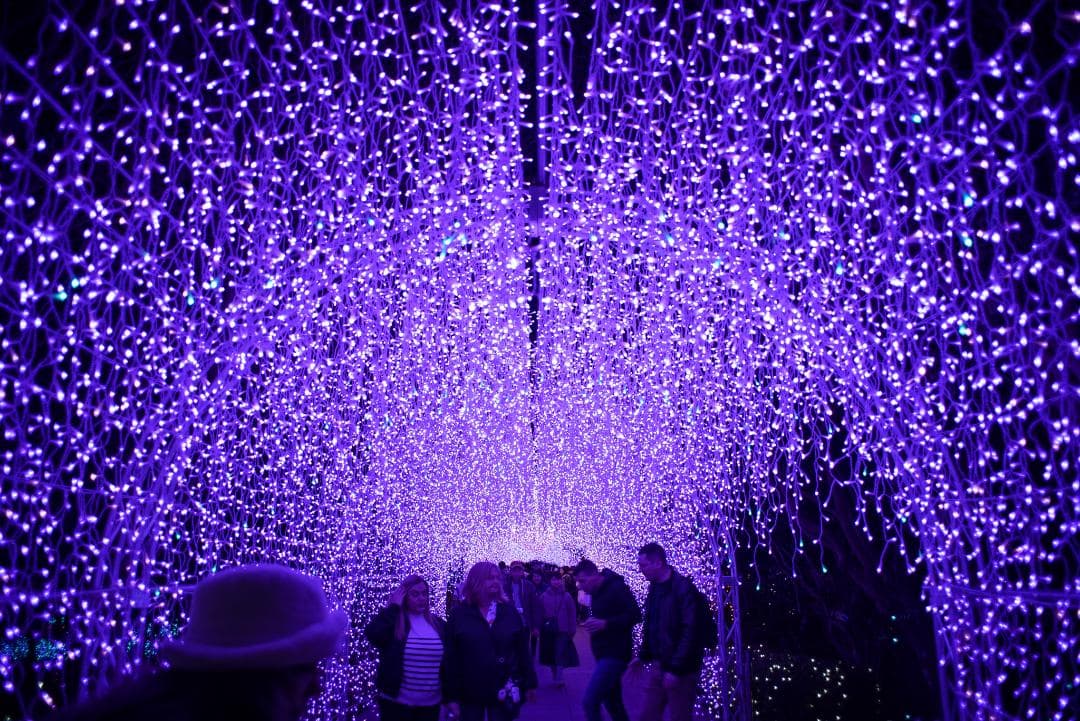 ジュン様　広角ニュージェネレーション Leica Elmarit-M 28mm