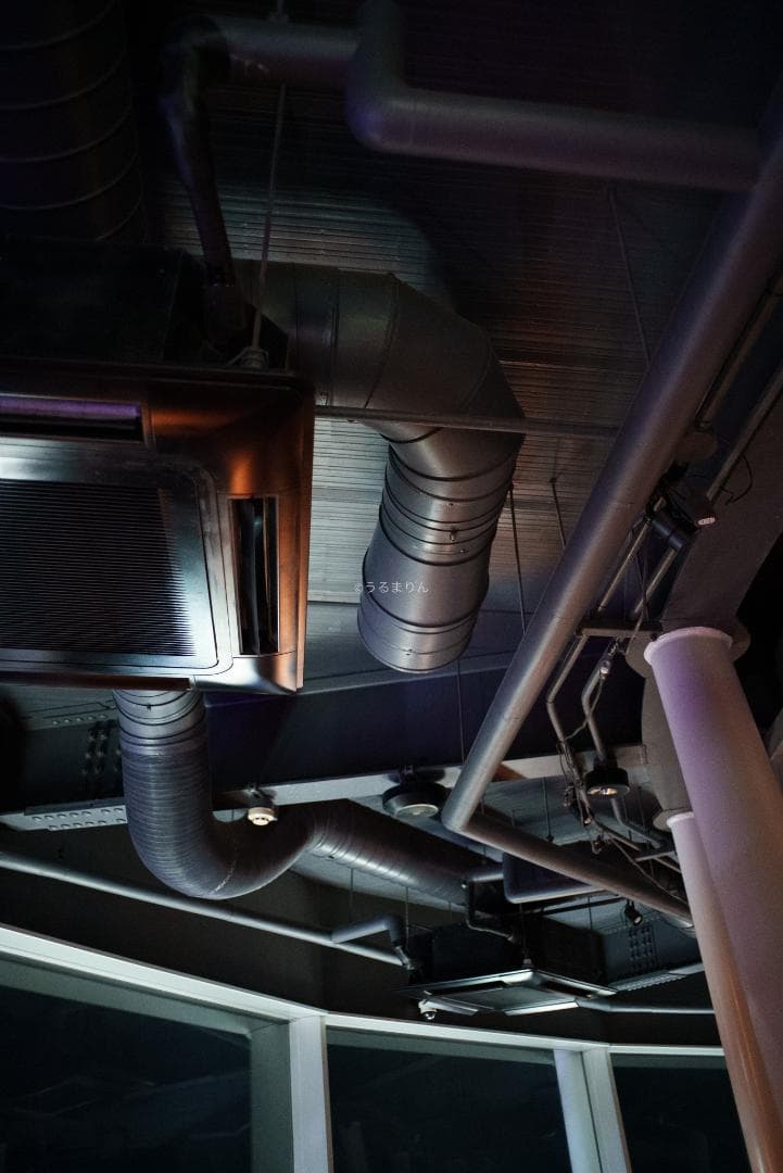 ジュン様　広角ニュージェネレーション Leica Elmarit-M 28mm