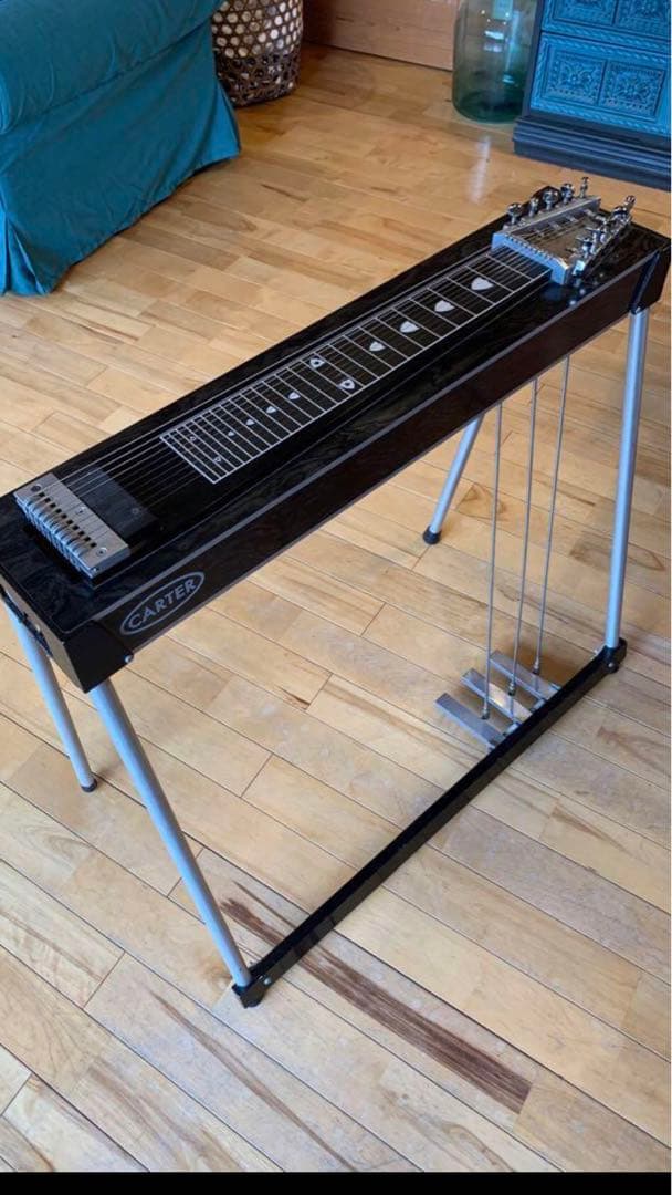 ペダルスチールギター E9 10弦