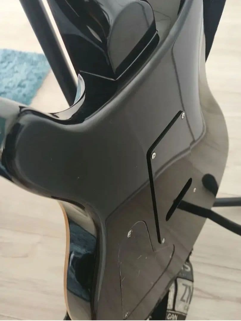 ギター GON Paul Reed Smith SE Custom