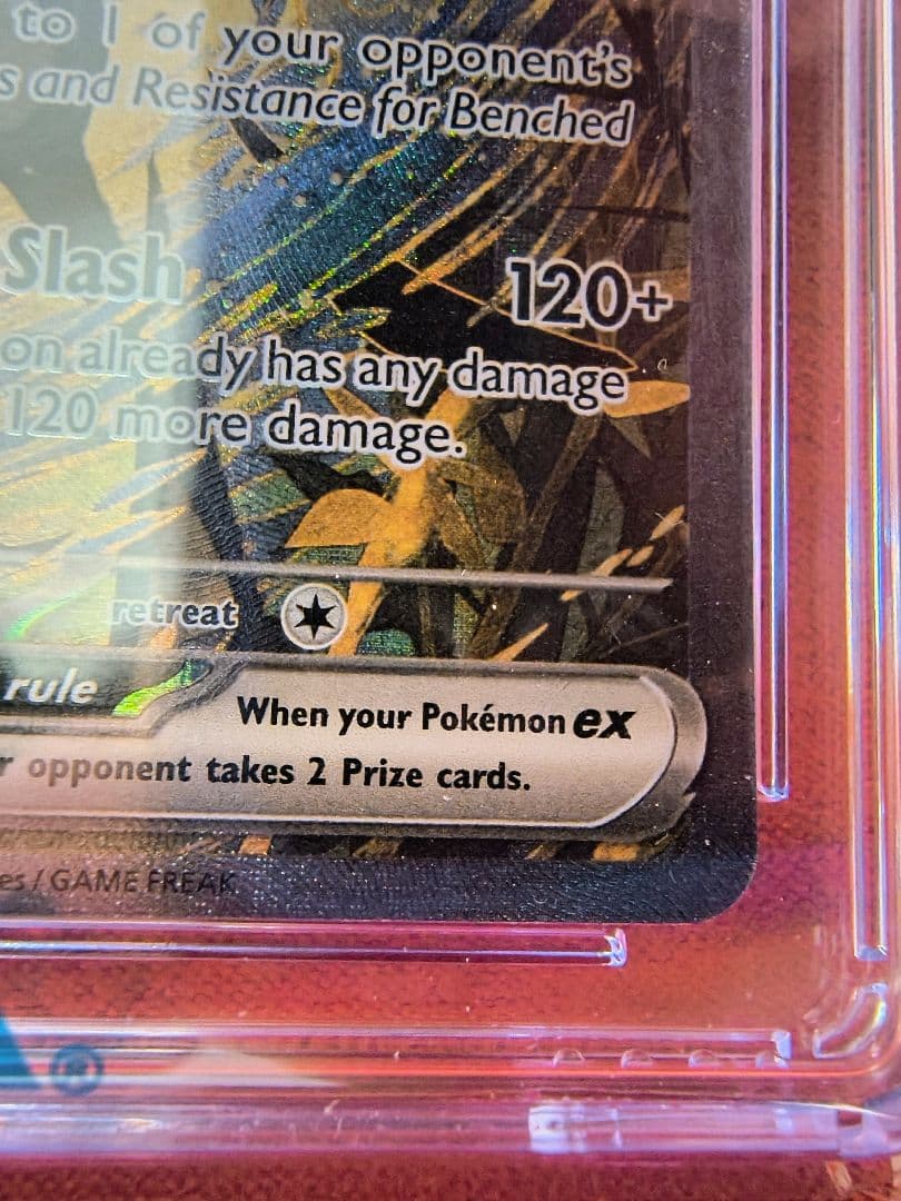 【CGC10】ゲッコウガex　Greninja ex promo　海外英語プロモ