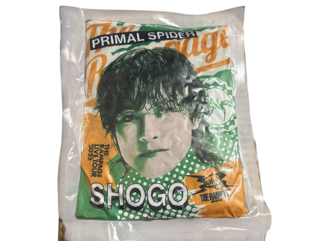 岩谷翔吾　クッション　巡らせる糸