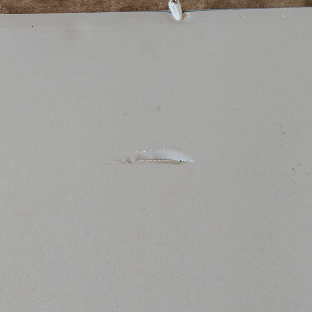 ジグソーパズル1000ピース完成品