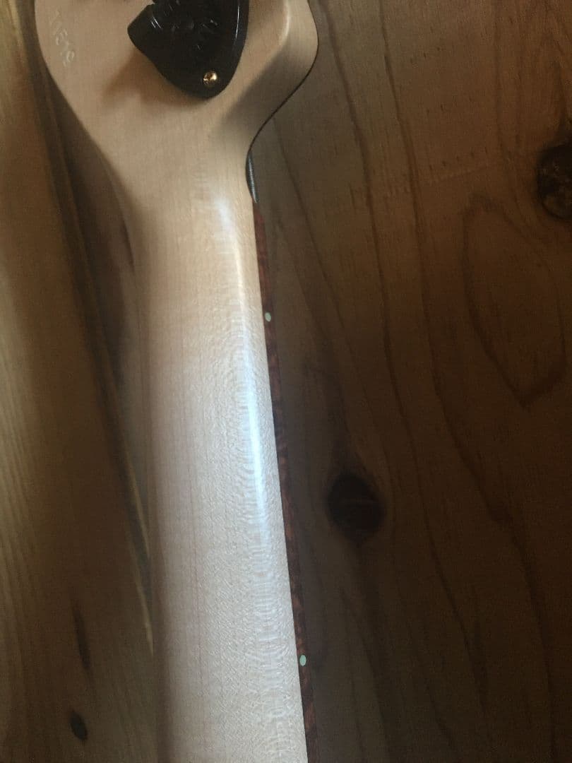 momose　custom 5弦