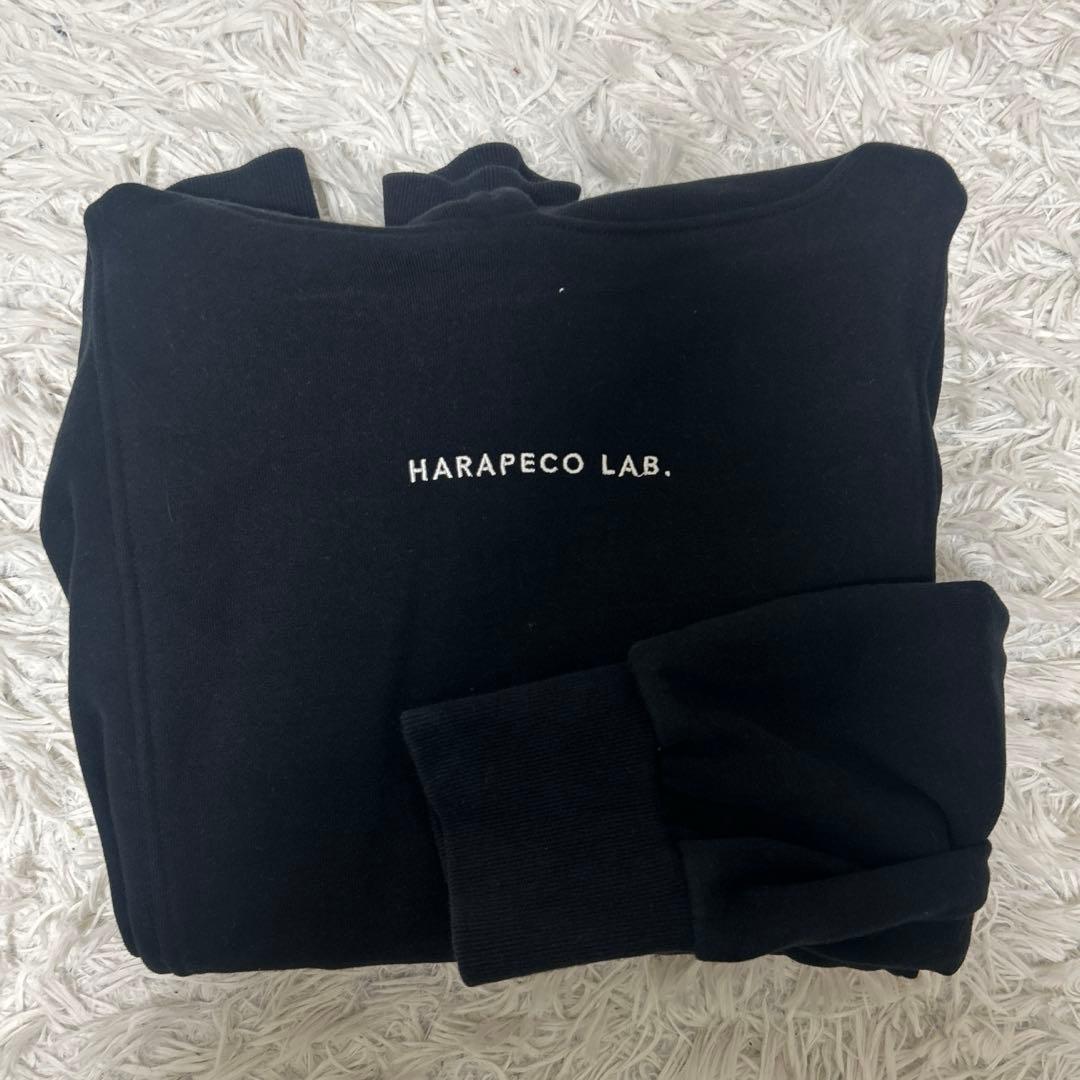 【限定アイテム】Eve harapeco 商店 Line Hoodie