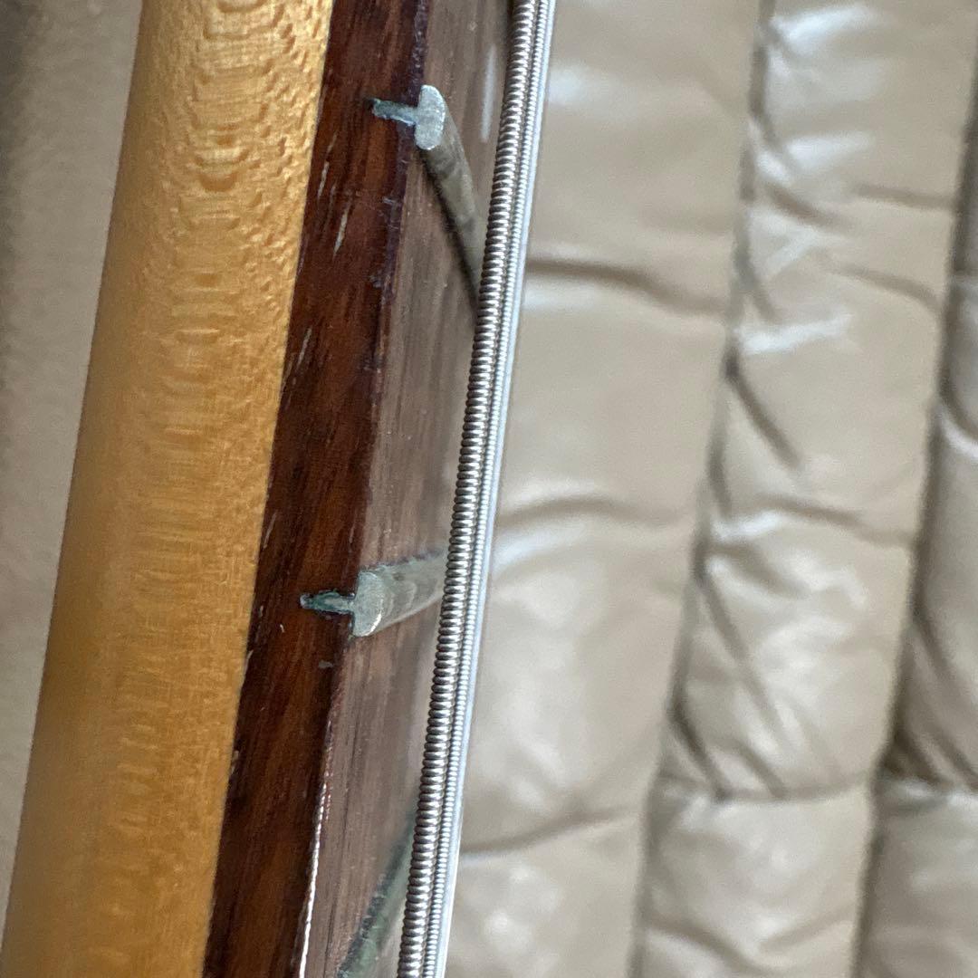 アイバニーズ　フジゲン製