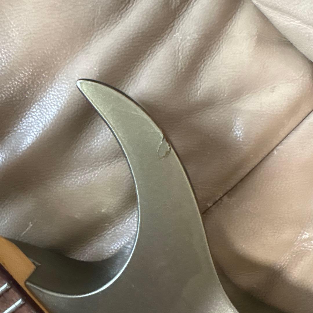 アイバニーズ　フジゲン製