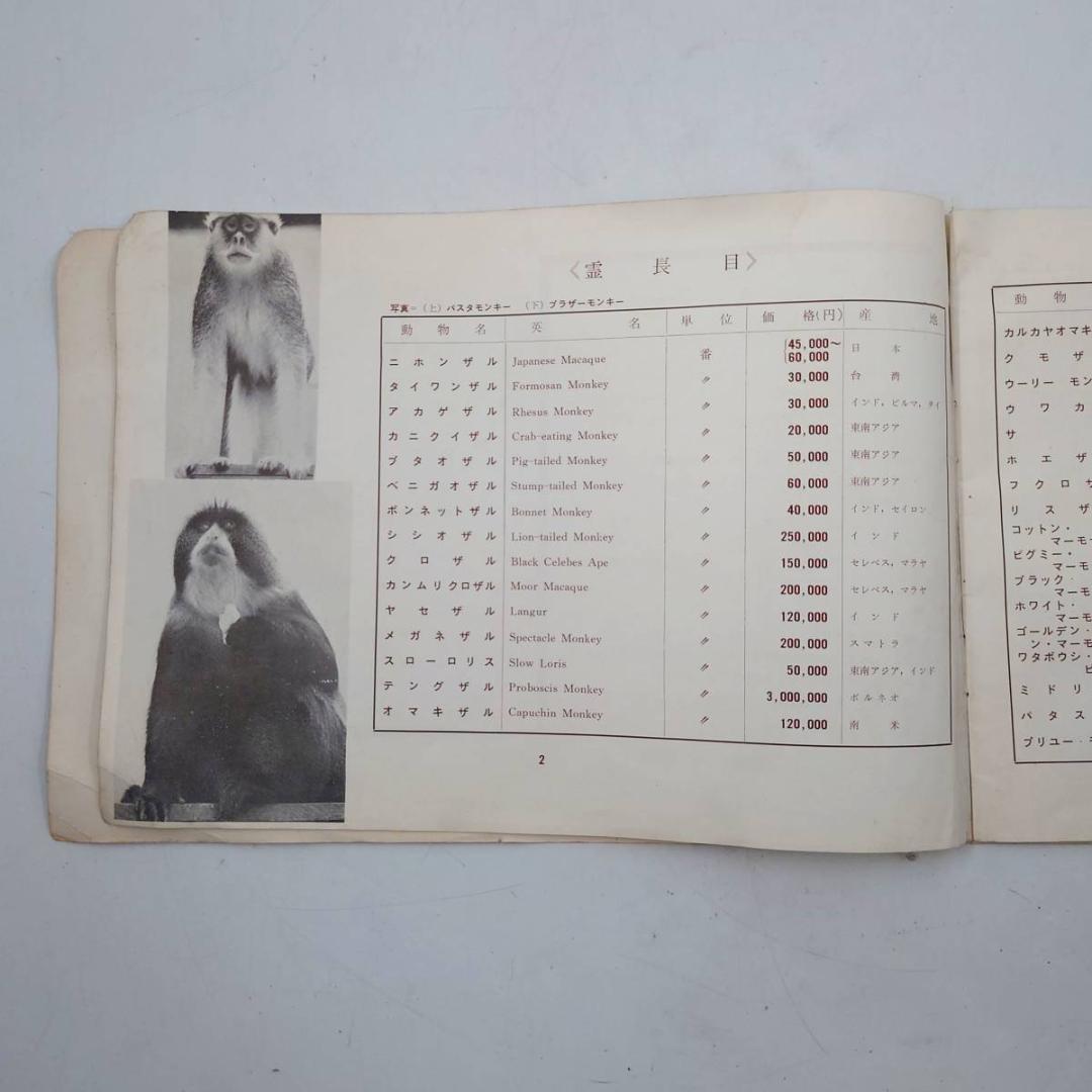 京濱鳥獣貿易 動物価格表 & 札幌 円山動物園 どうぶつぐらふ