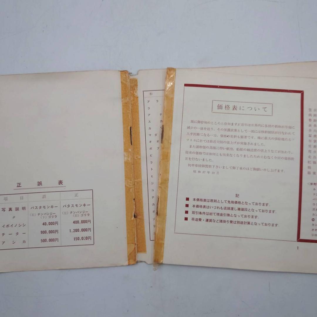 京濱鳥獣貿易 動物価格表 & 札幌 円山動物園 どうぶつぐらふ