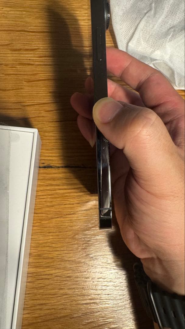 Apple iPhone 13 Pro max 1tb SIMフリー　本体のみ