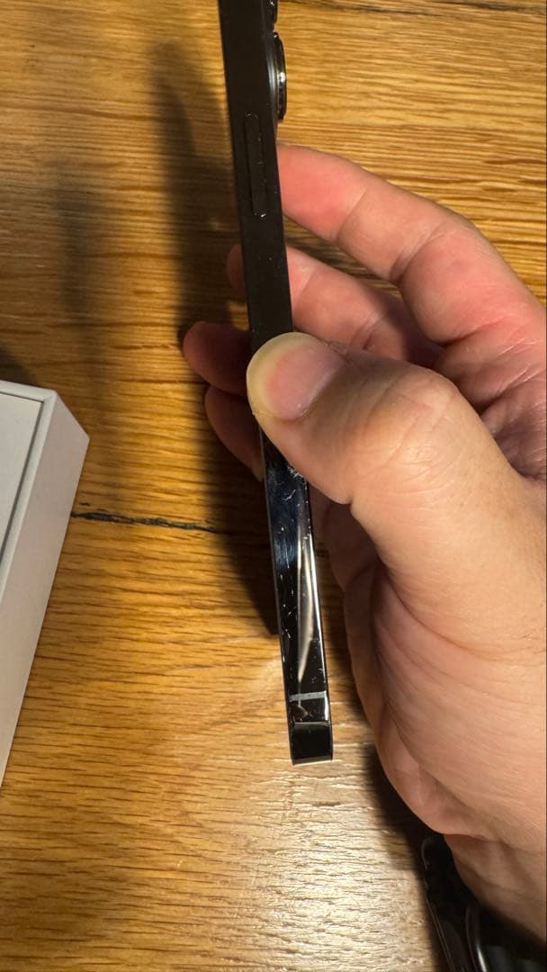 Apple iPhone 13 Pro max 1tb SIMフリー　本体のみ