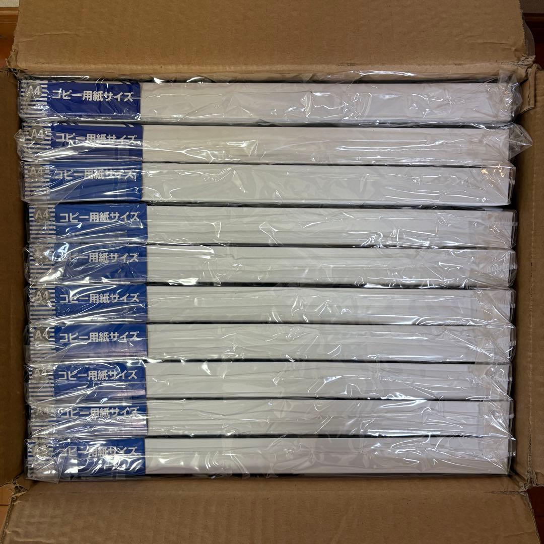 大仙　OA額　フクシアA4 シルバー　10個セット