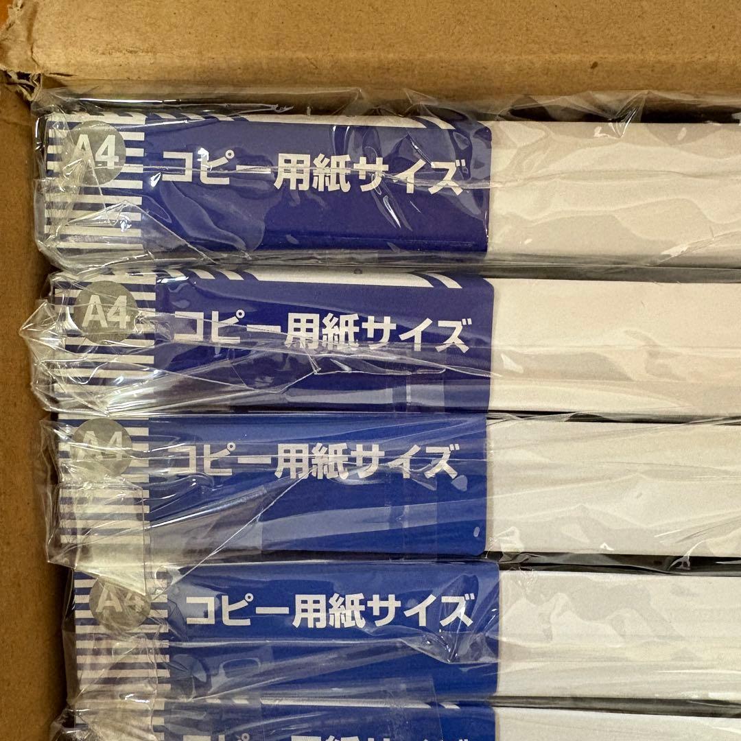 大仙　OA額　フクシアA4 シルバー　10個セット