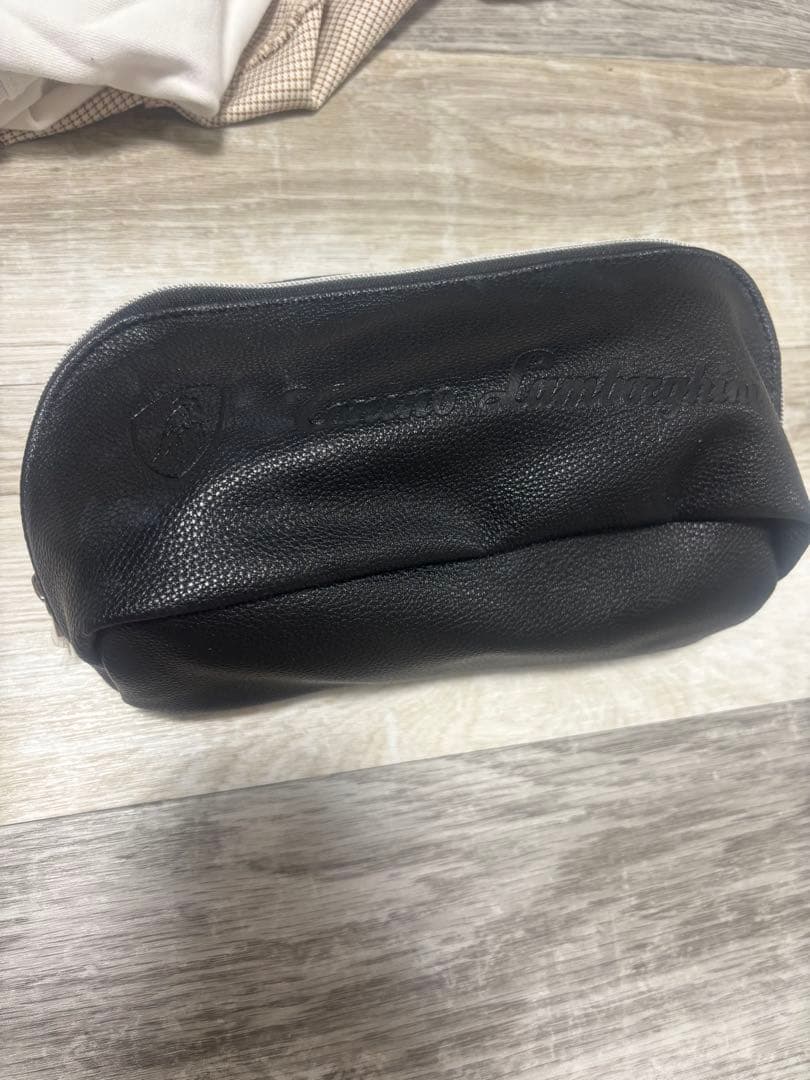 Lamborghini ALPHATONE 美顔器 専用ケース付