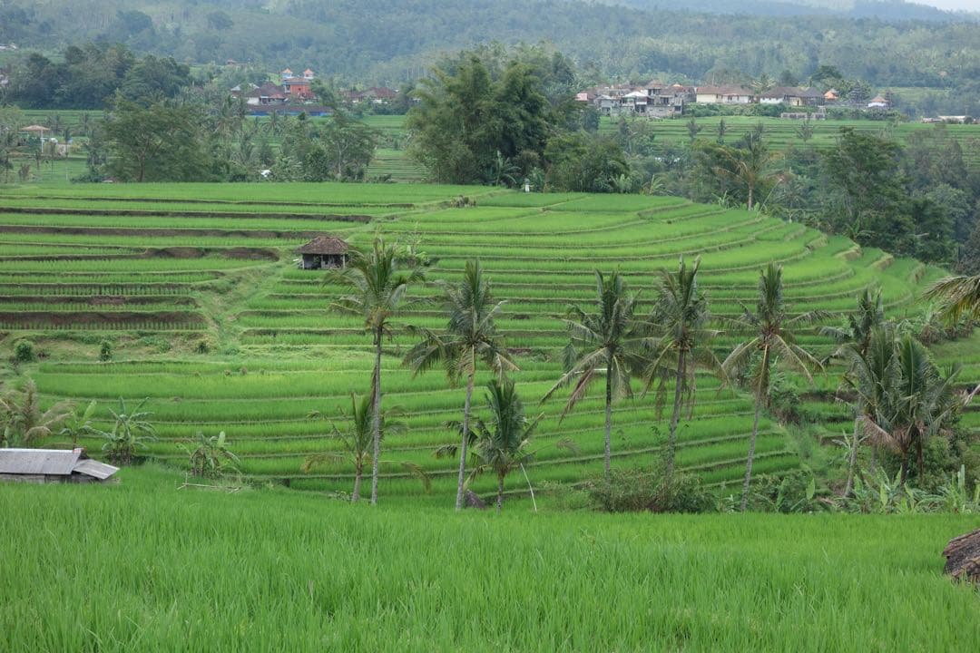 SONY Cyber-shot DSC-RX100 純正ケース付き