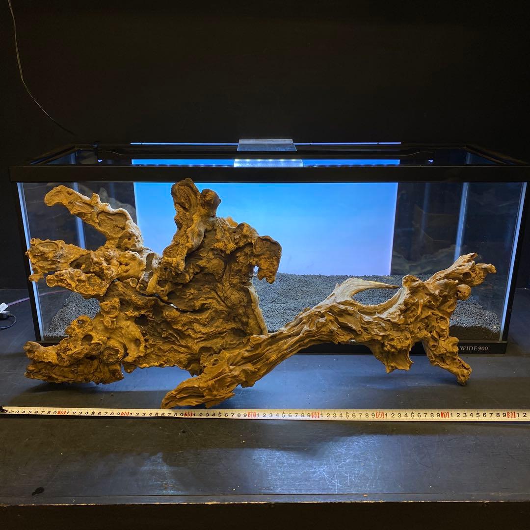 MJW-6434 「特大」ジンジャーウッド　90cm水槽用　天然流木2本セット