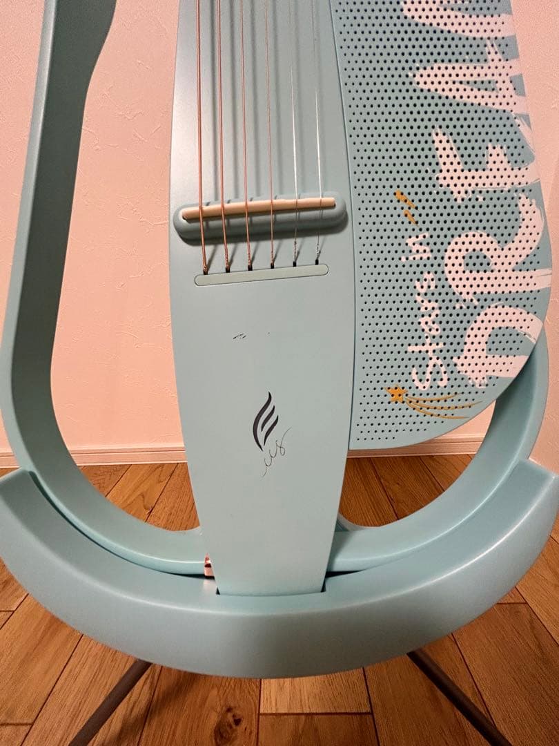 enya nexg2 サイレント　ギター　アコースティック　エレアコ