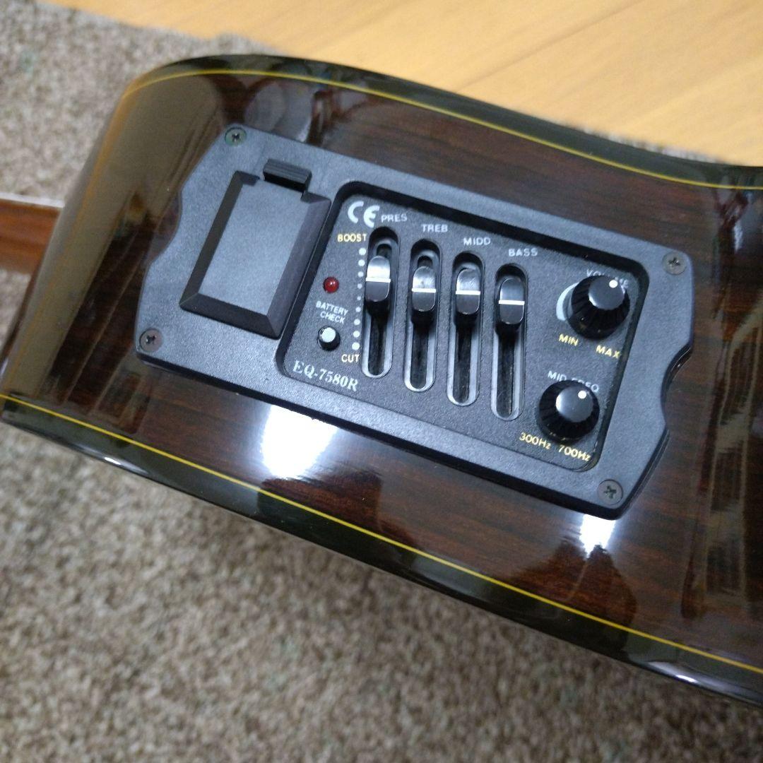 history HCGEG エレガットギター クラシックギター