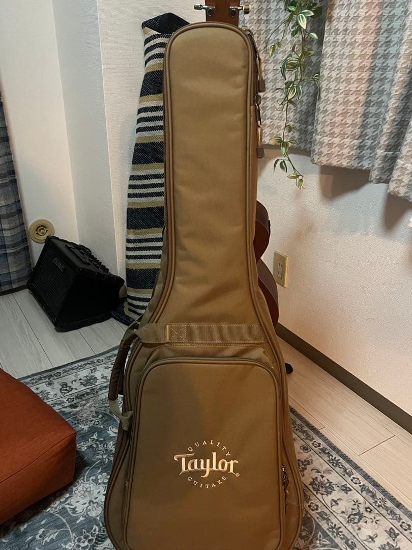 最終値段★Taylor Academy12e 24年購入 保証書あり ほぼ未使用