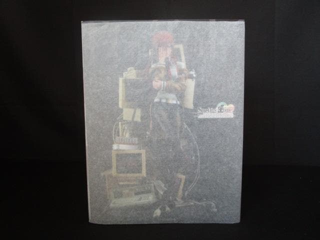 STEINS GATE 牧瀬紅莉栖 運命探知の魔眼 シュタインズゲート 新品