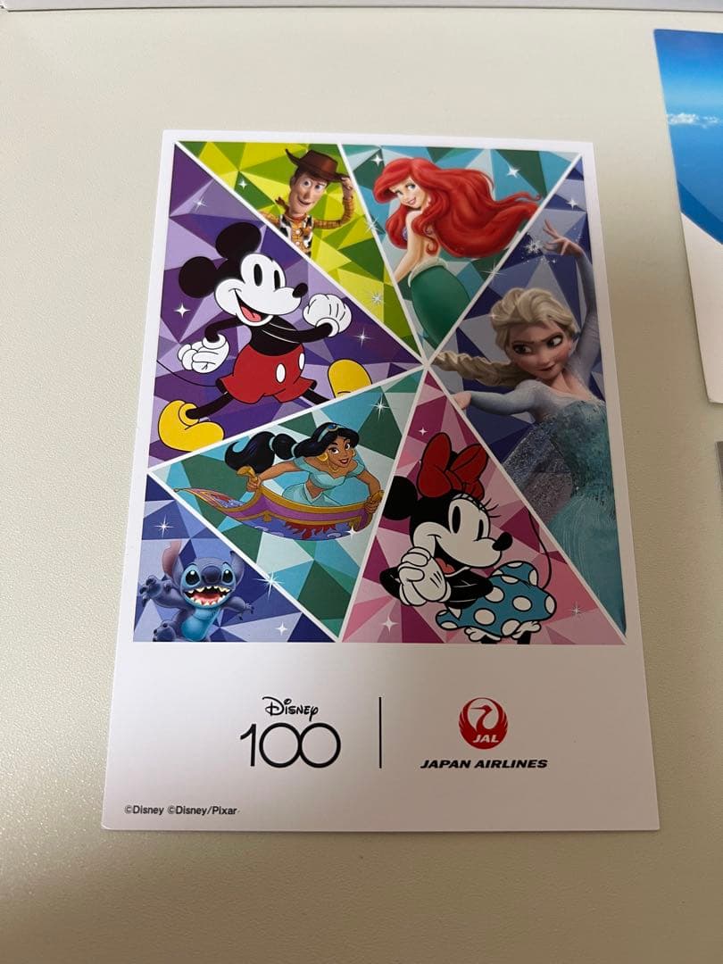 JAL DREAM EXPRESS B767-300ER ディズニー　新品