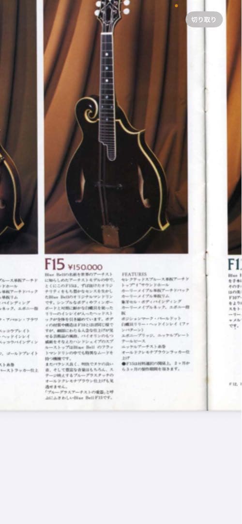 Blue Bell F-15 フラットマンドリン （富士弦）フジゲン　ビンテージ