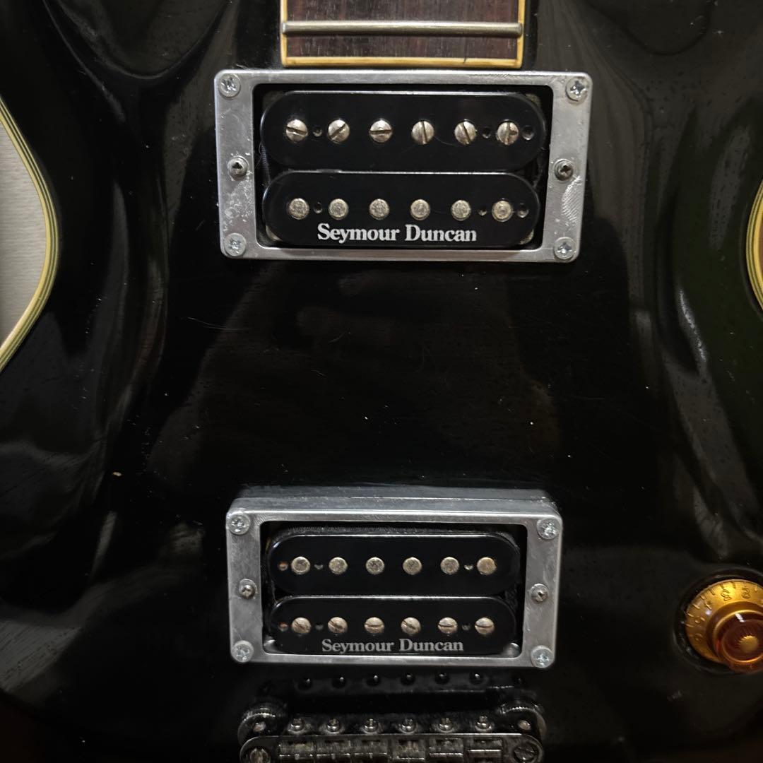 SCHECTER エレキギター　t-kisaraさん専用