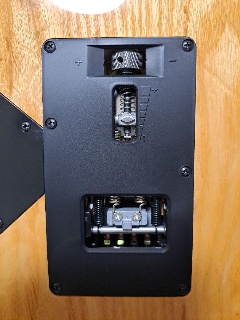 ギター Ibanez RG370AHMZ-SWK