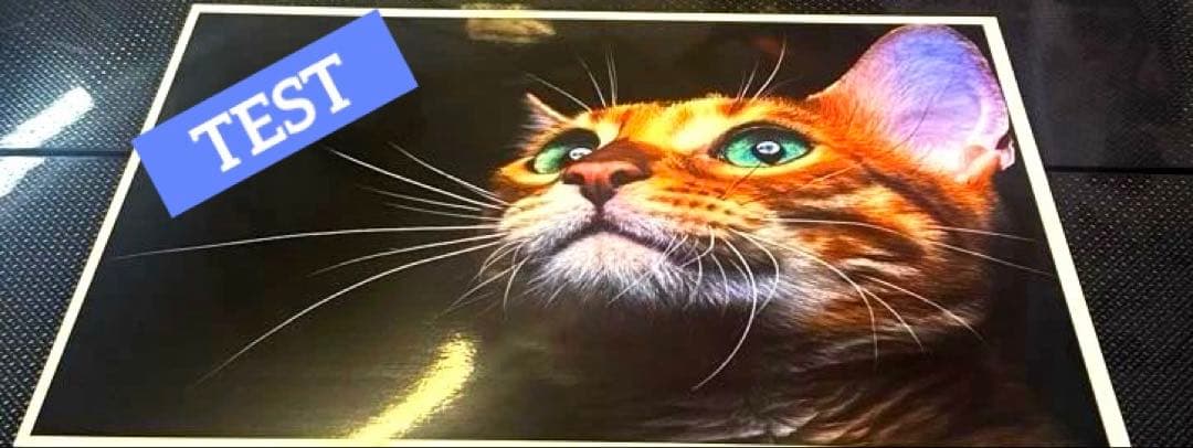 CANON PIXUS IP8730 インクジェットプリンター 1～50ページ