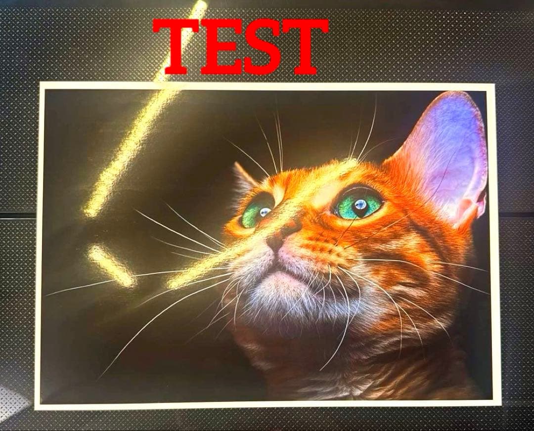 CANON PIXUS IP8730 インクジェットプリンター 1～50ページ