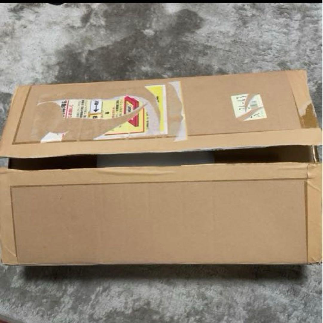 フローティングLED スニーカー