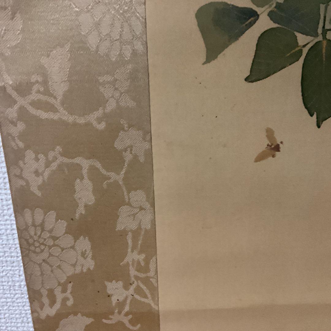 作者不詳作 絹本 花鳥画 【薔薇に花虻図】 表具 作品共経年経過