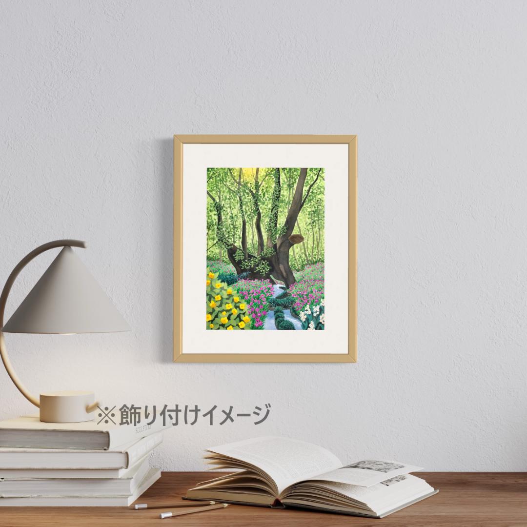 透明水彩画　原画　「千年の大樹とカタクリの花」額縁付　F4サイズ