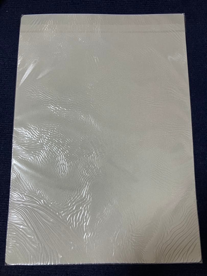 【非売品】タユタマ 萌木原ふみたけ 描き下ろし A3 サイズ ビニールポスター